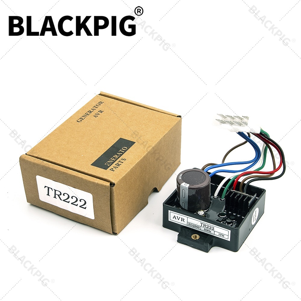 TR222 EG2500 AVR Automatic Vol - огляд і ціна Cycloidal Reducer Bldc Motor